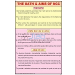 誓言和目标NCC图表