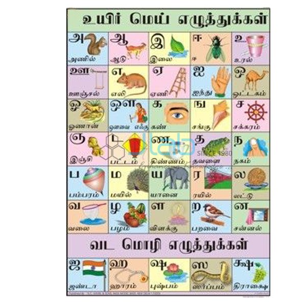 泰米尔语字母表