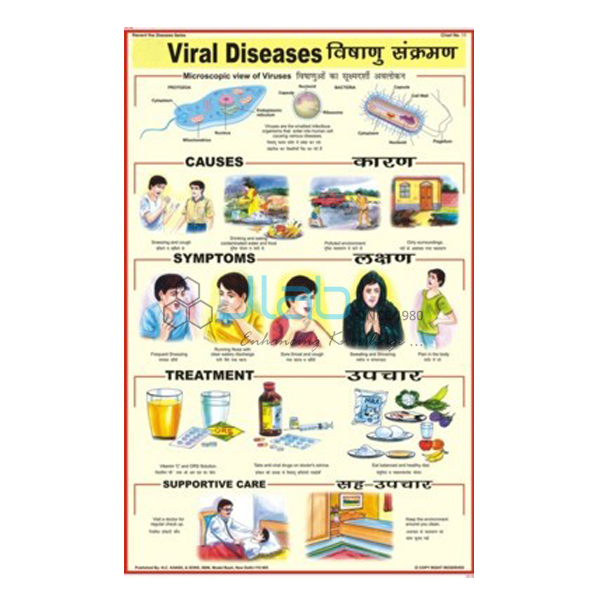 病毒性疾病的图表