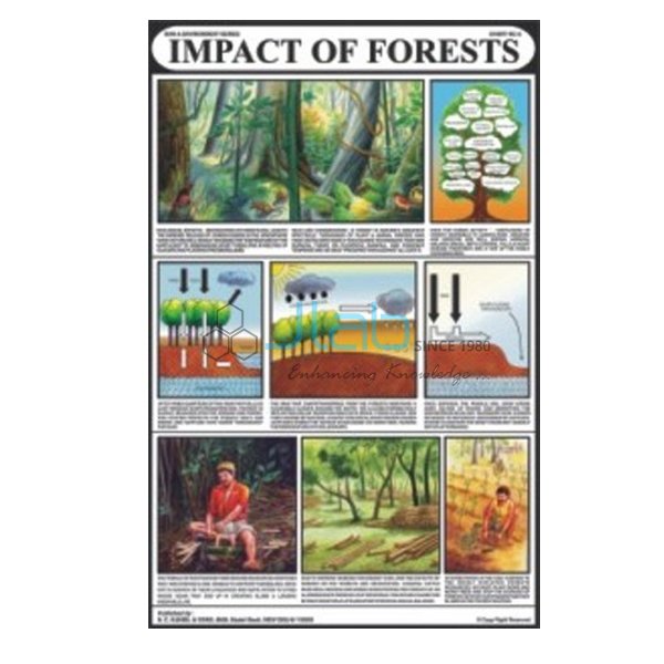 森林的影响图
