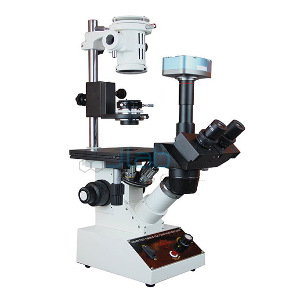 三眼倒置组织培养显微镜