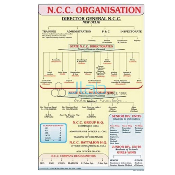 NCC图表的组织