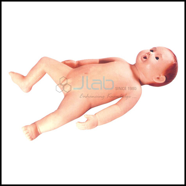 新生儿插管婴儿模型