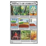 森林图表的影响