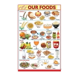我们的食物图表