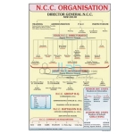 组织NCC图表