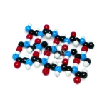 蛋白质β褶皱薄片分子模型套件